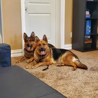 processed/7f4cd1b8-56d9-478a-8846-03ad7db52952/facility/25db3241-99d9-4879-b7dc-7c021d1c8eb0