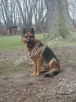 processed/7f4cd1b8-56d9-478a-8846-03ad7db52952/facility/27275847-6818-446d-bc9e-1e92c09a9e6b