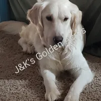 processed/7f4cd1b8-56d9-478a-8846-03ad7db52952/facility/ac8ea25a-9bb8-487b-9812-4757b77a5c50