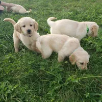 processed/7f4cd1b8-56d9-478a-8846-03ad7db52952/facility/b5671158-1a70-4f6a-807e-3d72a758e67a