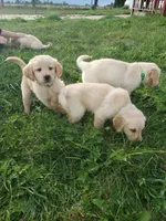 processed/7f4cd1b8-56d9-478a-8846-03ad7db52952/facility/b5671158-1a70-4f6a-807e-3d72a758e67a