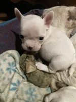 processed/7f540682-33c5-4281-a75d-7c20469a93a0/listing/406164d3-65b6-422c-8c58-b946b90e90c1/5d33c4a0-4739-494f-bbaf-0100dade72f9