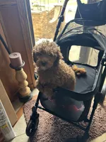 processed/7f66ab42-cb02-440e-a97e-f1fe14955fd1/facility/7abf56d7-71f3-41e8-8613-eef209e20ee9