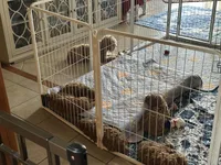 processed/7f66ab42-cb02-440e-a97e-f1fe14955fd1/facility/a2baaa2c-2014-49da-b47e-66ad8359a829