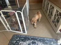 processed/7f66ab42-cb02-440e-a97e-f1fe14955fd1/facility/cc6bf879-ed23-4a70-91da-5979734f18d6