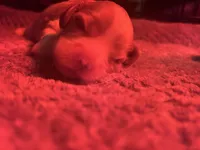 processed/7f6eedfa-6092-41ca-a068-d2ba9efc2ed4/listing/e794169f-d046-4729-8f8b-c71574c0c2f5/33ecbbdc-cce8-470a-a2d1-674c6017a47a