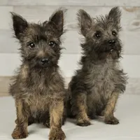 processed/7f721c81-e09d-43fc-a7bb-220ba64ba5e6/facility/88665721-447e-4732-9837-69bd03e3fb6b