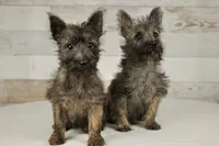 processed/7f721c81-e09d-43fc-a7bb-220ba64ba5e6/facility/88665721-447e-4732-9837-69bd03e3fb6b