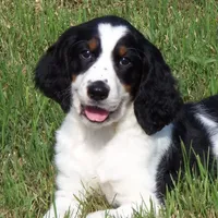 processed/7f721c81-e09d-43fc-a7bb-220ba64ba5e6/facility/b382a170-a8ae-43d2-a8d8-181a825097e2