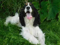 processed/7f721c81-e09d-43fc-a7bb-220ba64ba5e6/listing/0b654604-f55e-4fb4-ada0-c3a68f35845f/515a74c8-2d7b-43d7-b422-88b371a62e77