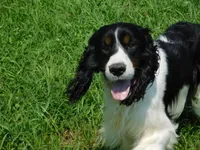 processed/7f721c81-e09d-43fc-a7bb-220ba64ba5e6/listing/0b654604-f55e-4fb4-ada0-c3a68f35845f/6127f7ee-0617-4750-87fd-fa1aa3a45be0