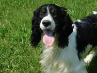 processed/7f721c81-e09d-43fc-a7bb-220ba64ba5e6/listing/0b654604-f55e-4fb4-ada0-c3a68f35845f/7274cb2b-049c-4393-b535-9dd887028ebd