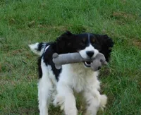 processed/7f721c81-e09d-43fc-a7bb-220ba64ba5e6/listing/0b654604-f55e-4fb4-ada0-c3a68f35845f/a30ee4b5-862a-4939-b04f-d643123a7f1a