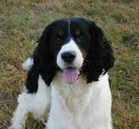 processed/7f721c81-e09d-43fc-a7bb-220ba64ba5e6/listing/0b654604-f55e-4fb4-ada0-c3a68f35845f/a4e636f3-ee9d-441e-9e94-e07271f16f15