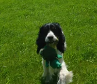 processed/7f721c81-e09d-43fc-a7bb-220ba64ba5e6/listing/0b654604-f55e-4fb4-ada0-c3a68f35845f/afffd868-847b-4892-84c9-60982a87f3d4