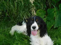 processed/7f721c81-e09d-43fc-a7bb-220ba64ba5e6/listing/0b654604-f55e-4fb4-ada0-c3a68f35845f/bd6b0410-0bd0-4696-9c4b-2e858e931e10