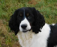 processed/7f721c81-e09d-43fc-a7bb-220ba64ba5e6/listing/0b654604-f55e-4fb4-ada0-c3a68f35845f/cdc4241f-1735-4165-a28b-73b0ce183266