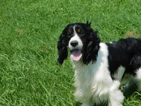 processed/7f721c81-e09d-43fc-a7bb-220ba64ba5e6/listing/0b654604-f55e-4fb4-ada0-c3a68f35845f/ce16776c-88ea-4571-9428-1667dc286cf0