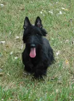 processed/7f721c81-e09d-43fc-a7bb-220ba64ba5e6/listing/2e56fbe7-913f-4998-b72b-a3ac18fdce5b/1086e2dc-4057-43d6-a68c-44e6c789a908