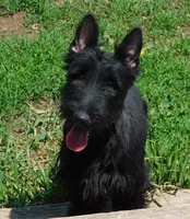 processed/7f721c81-e09d-43fc-a7bb-220ba64ba5e6/listing/2e56fbe7-913f-4998-b72b-a3ac18fdce5b/22954024-8b23-4326-8068-250603bfea8b