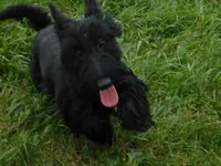 processed/7f721c81-e09d-43fc-a7bb-220ba64ba5e6/listing/2e56fbe7-913f-4998-b72b-a3ac18fdce5b/2c0c4db6-9200-4850-947a-84d2fa003912