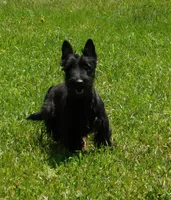 processed/7f721c81-e09d-43fc-a7bb-220ba64ba5e6/listing/2e56fbe7-913f-4998-b72b-a3ac18fdce5b/4cef2858-2dbf-4c99-bceb-54ac9a42a0d6