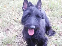 processed/7f721c81-e09d-43fc-a7bb-220ba64ba5e6/listing/2e56fbe7-913f-4998-b72b-a3ac18fdce5b/e23cfe5d-1e0e-45f7-90b1-f752609039db