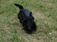 processed/7f721c81-e09d-43fc-a7bb-220ba64ba5e6/listing/2e56fbe7-913f-4998-b72b-a3ac18fdce5b/faff042e-2bfb-473f-8252-303db5f51e50