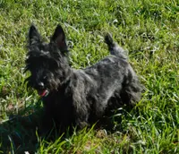 processed/7f721c81-e09d-43fc-a7bb-220ba64ba5e6/listing/3ca86385-1e18-4455-bfbc-d33b4aa58048/10701c5e-2662-4e98-9d35-371580875793