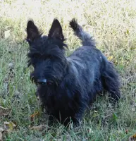 processed/7f721c81-e09d-43fc-a7bb-220ba64ba5e6/listing/3ca86385-1e18-4455-bfbc-d33b4aa58048/20215315-1c2d-44e2-9f2a-704d78364c86