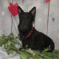 processed/7f721c81-e09d-43fc-a7bb-220ba64ba5e6/listing/3ca86385-1e18-4455-bfbc-d33b4aa58048/77c88852-4b46-4c3a-b8f0-754df233a8b4