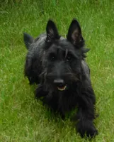 processed/7f721c81-e09d-43fc-a7bb-220ba64ba5e6/listing/3ca86385-1e18-4455-bfbc-d33b4aa58048/7efdaccf-e0ee-4577-9524-dc09012d34a4