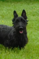 processed/7f721c81-e09d-43fc-a7bb-220ba64ba5e6/listing/3ca86385-1e18-4455-bfbc-d33b4aa58048/ab64e308-a82e-413c-a92b-a2c9994c0a1a