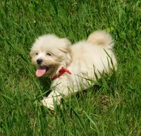 processed/7f721c81-e09d-43fc-a7bb-220ba64ba5e6/listing/42008b6b-4e81-4cb7-a115-734482945170/10f396bd-a3f5-4306-9d7f-ae7bb1712ff1