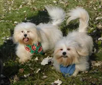 processed/7f721c81-e09d-43fc-a7bb-220ba64ba5e6/listing/42008b6b-4e81-4cb7-a115-734482945170/20e17b09-2182-49f4-8e31-2bb294822727