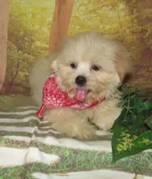 processed/7f721c81-e09d-43fc-a7bb-220ba64ba5e6/listing/42008b6b-4e81-4cb7-a115-734482945170/62488166-526c-4353-a34c-4d3007abe3c5