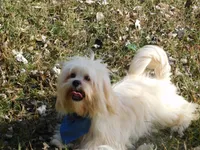 processed/7f721c81-e09d-43fc-a7bb-220ba64ba5e6/listing/42008b6b-4e81-4cb7-a115-734482945170/7233f79f-a498-498a-8490-8027ecea04d1