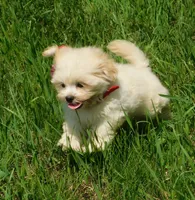 processed/7f721c81-e09d-43fc-a7bb-220ba64ba5e6/listing/42008b6b-4e81-4cb7-a115-734482945170/c1b9adf6-7b13-44a2-8bd8-7b6c0a54e48f