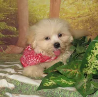 processed/7f721c81-e09d-43fc-a7bb-220ba64ba5e6/listing/42008b6b-4e81-4cb7-a115-734482945170/dedacfa9-4486-41b9-b50f-24a58b3ed671