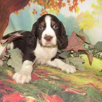 processed/7f721c81-e09d-43fc-a7bb-220ba64ba5e6/listing/4618b527-2c1c-4204-9001-2046aad7f541/41bc9779-f5dd-47f4-803d-cf7fa8568506