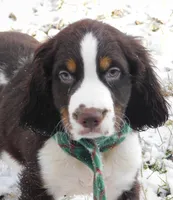 processed/7f721c81-e09d-43fc-a7bb-220ba64ba5e6/listing/4618b527-2c1c-4204-9001-2046aad7f541/a4414a95-cfc1-4308-9aed-60940e76ba4c