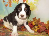 processed/7f721c81-e09d-43fc-a7bb-220ba64ba5e6/listing/4618b527-2c1c-4204-9001-2046aad7f541/d8b72c74-9a81-4ec0-baba-7c8e5beefeb0