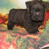 processed/7f721c81-e09d-43fc-a7bb-220ba64ba5e6/listing/4d19d626-e18e-49f5-9a51-e882ffaff860/70a4fa16-6b43-466b-ac42-ee2ad0184b86