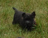 processed/7f721c81-e09d-43fc-a7bb-220ba64ba5e6/listing/4d19d626-e18e-49f5-9a51-e882ffaff860/a0cd4fab-2514-4264-8d12-d0d18ff8716a