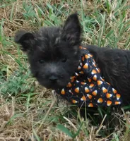 processed/7f721c81-e09d-43fc-a7bb-220ba64ba5e6/listing/4d19d626-e18e-49f5-9a51-e882ffaff860/a6821ace-4d78-4976-acdb-2e2dfb45f825