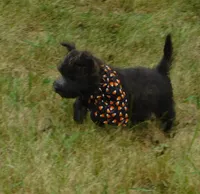 processed/7f721c81-e09d-43fc-a7bb-220ba64ba5e6/listing/4d19d626-e18e-49f5-9a51-e882ffaff860/afbf535d-0f76-488a-bc93-02208e89652b