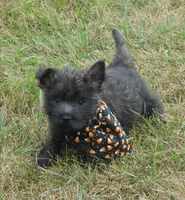 processed/7f721c81-e09d-43fc-a7bb-220ba64ba5e6/listing/4d19d626-e18e-49f5-9a51-e882ffaff860/fe63a1ca-78a5-480c-bf8f-fc5db1748870