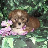 processed/7f721c81-e09d-43fc-a7bb-220ba64ba5e6/listing/512c7b9a-de15-4805-b262-3103137cb223/53293db0-6622-4475-a84f-b22c02631cc4