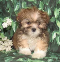 processed/7f721c81-e09d-43fc-a7bb-220ba64ba5e6/listing/512c7b9a-de15-4805-b262-3103137cb223/5c7391ef-8d1d-437a-898b-cf0973f72d6e