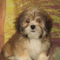 processed/7f721c81-e09d-43fc-a7bb-220ba64ba5e6/listing/512c7b9a-de15-4805-b262-3103137cb223/866711d9-bc34-451b-be59-aec6b8e46f1a